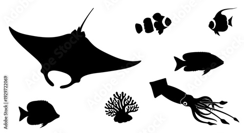 Underwater Silhouette Collection: An artistic representation of aquatic life. This image showcases the graceful outlines of a stingray, clownfish, other fish, squid and coral reef.