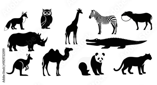 Animal Silhouettes: A diverse collection of animal silhouettes, captured in stark black against a plain backdrop, presenting a graphic array of wildlife forms.