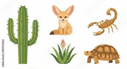 Vibrant vector collection of desert wildlife and plant life, including cactus, fox, scorpion, aloe, and tortoise illustrations
