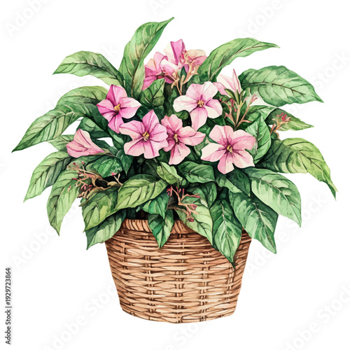 Balsam Bouquet In A Basket, watercolor artwork with bold brush accents and dynamic composition, isolated on a white background.