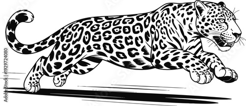Hand drawn simple sketch vector illustration of a jaguar in minimalist line art style