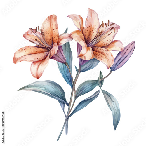 Aztec Lily Branch, watercolor artwork with bold brush accents and dynamic composition, isolated on a white background.