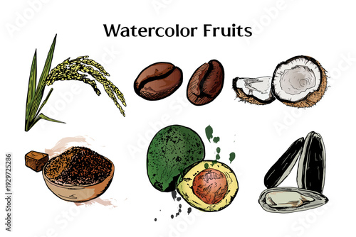 Watercolor Healthy Ingredients Collection – Hand Drawn Organic Food Elements. Watercolor Superfood Illustration Set – Coffee, Avocado, Coconut, Rice and Seeds Hand Drawn Clipart.