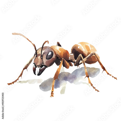 Ant, watercolor illustration featuring playful movement and lively expressions, isolated on a white background.