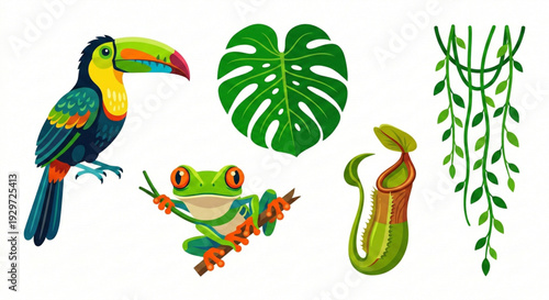 Vibrant Tropical Rainforest Elements Toucan, Frog, Carnivorous Plant, and Hanging Vines