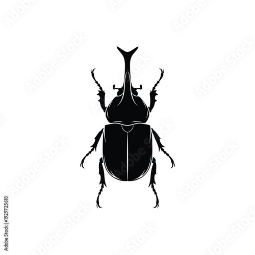 Detailed rhinoceros beetle silhouette vector illustration of exotic insect isolated on white background