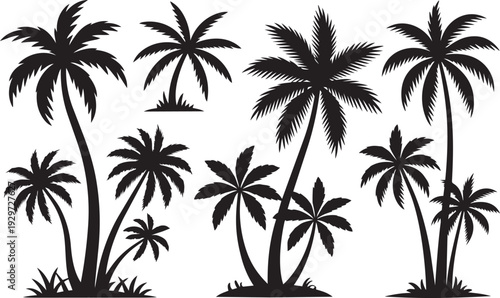 Tropical palm trees set silhouettes