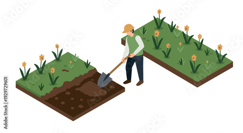 isometric garden flower bed with gardener digging soil in flat vector style