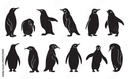 Wallpaper Mural Cute Baby Penguin Silhouette Vector Set, Adorable Arctic Bird Collection Torontodigital.ca