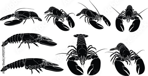 Lobster Silhouette Set in Multiple Angles, Black and White Seafood Crustacean Vector Illustration Collection Isolated on Light Background for Marine Design