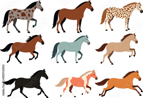 Horse breeds collection set in different colors and poses, running and standing farm animals, equine cartoon vector illustration isolated