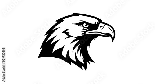black and white eagle head illustration