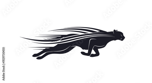 black cheetah running fast