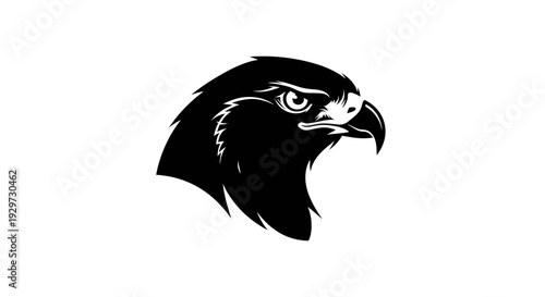 black eagle head illustration