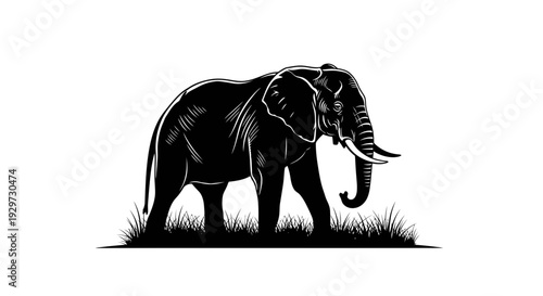 black elephant standing in grass