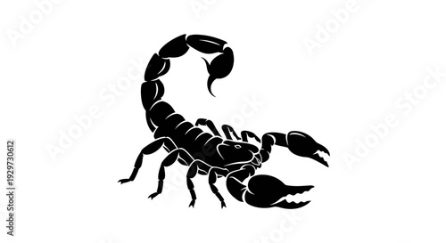 scorpion silhouette, black scorpion on white background