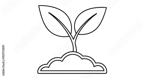 Simple line drawing of a sprouting plant with two leaves and soil