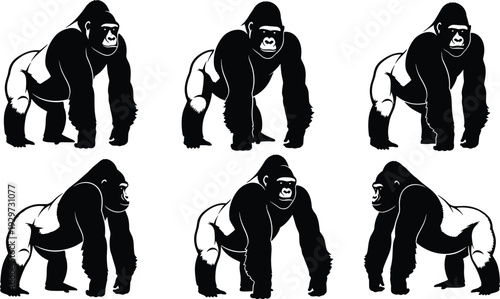 Set of Gorilla Silhouettes in Different Poses, Black and White Primate Vector Illustration Isolated on Light Background for Wildlife Design
