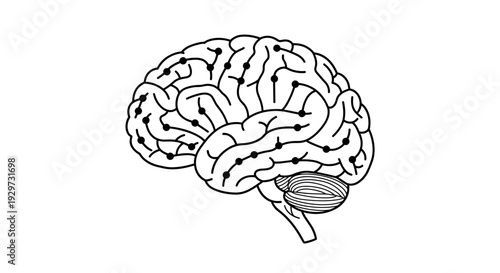 human brain with connected neural network hand drawn black and white line art illustration for medical and technology design