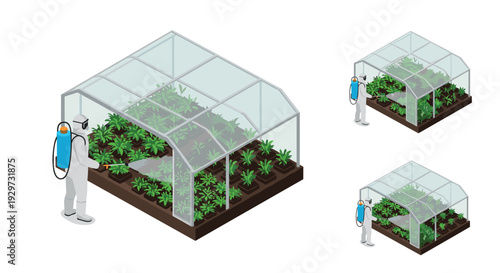 person in protective suit spraying plants inside greenhouse isometric hand drawn illustration for agriculture and pest control