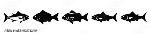 Collection of  fish marine silhouette icon vector set for logo
