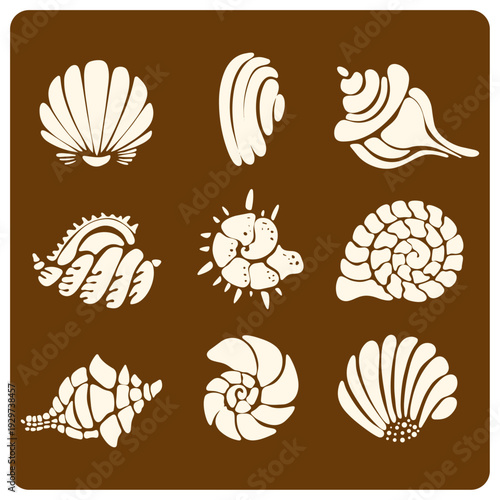 Set of Detailed Black Seashell Silhouettes Vector Illustration