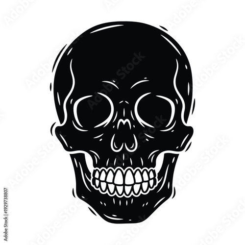 Human skull frontal view isolated on white background black and white graphic illustration