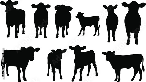 Cow silhouettes collection, calf silhouettes, farm animals, livestock illustration, cattle poses, grazing cows, standing calves, black vector design, agriculture art