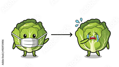 Cartoon illustration compares a healthy cabbage wearing a face mask to a sick cabbage character that is crying and feeling unwell.