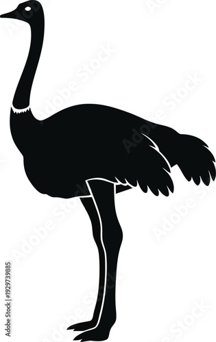A black silhouette of an ostrich standing on a white background