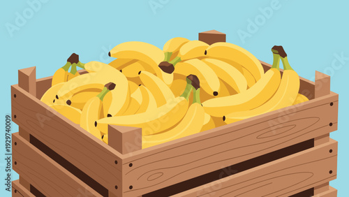 Large wooden crate is overflowing with many ripe yellow bananas illustrating a bountiful harvest or a busy market scene in a flat style.