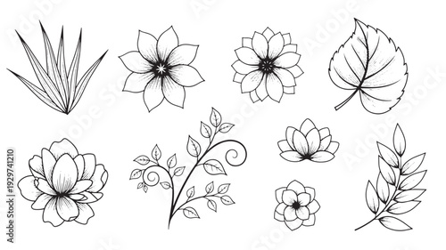 Flowers and leaves line art set with hand drawn botanical elements, floral blooms, branches and foliage for design