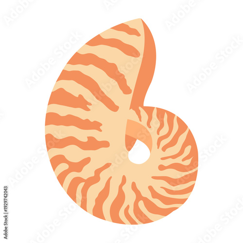 Flat vector illustration of a stylized nautilus seashell with curved spiral shape and orange striped pattern. For card, sea, ocean, beach, vacation, tropical and summer design. Hand drawn.