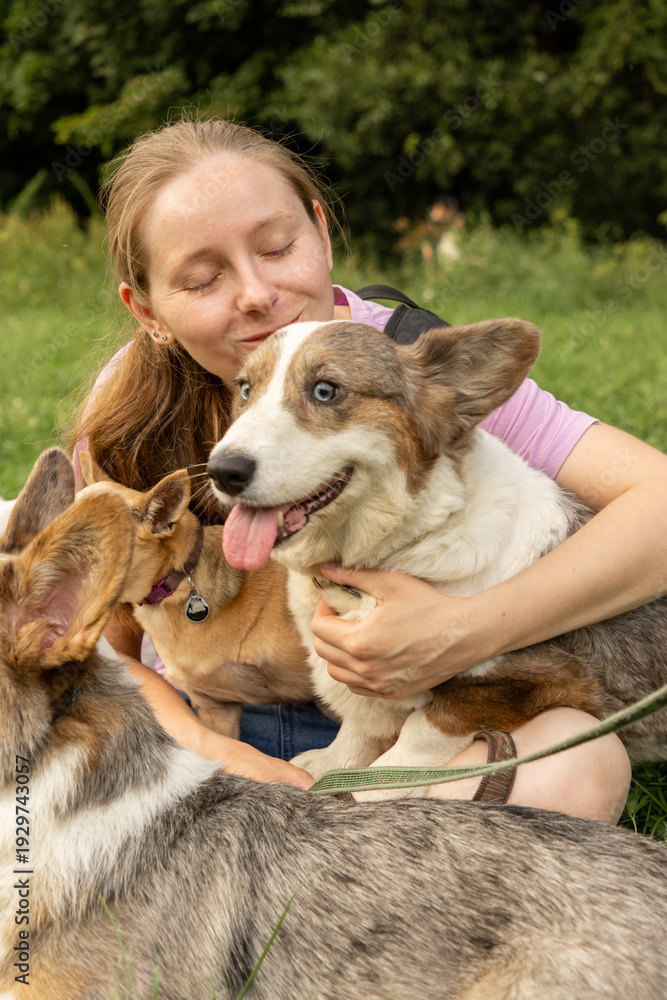 Fototapeta premium Professional dog walker young woman with pack of dogs is sitting on green grass and enjoying walk with animals. training and upbringing and care of pets. dogs from the shelter.