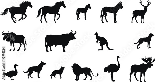 Wild animal silhouettes mega set, horse deer lion kangaroo and domestic pets collection, black vector icons for nature logo design and wildlife education projects