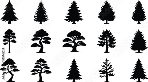 Tree silhouette icon set vector illustration featuring 15 diverse species including coniferous, deciduous, and stylized bonsai designs
