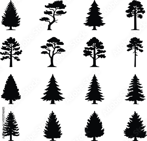 Tree silhouette icon set vector illustration featuring 20 diverse species with varied foliage density, branching styles, and conical forms