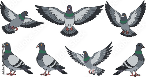 Set of Realistic Pigeon Vector Illustrations with Birds in Flying and Standing Poses for Urban Wildlife, City Nature, and Peace Symbol Design Projects