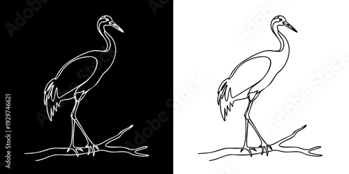 Elegant white heron standing on branch in natural habitat