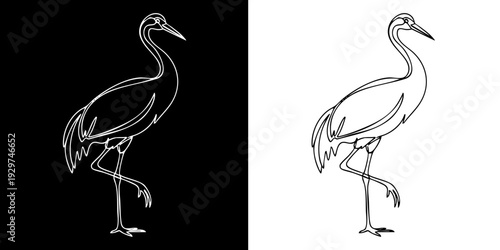 Elegant heron standing in serene natural pose