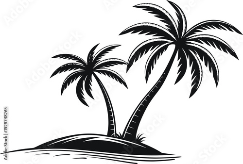 Black and white of two palm trees on a small island