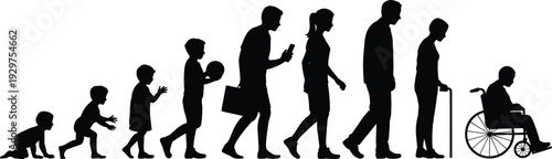 Black silhouettes of wild animals including lion zebra rhinoceros and elephant walking in a row isolated on white background, vector