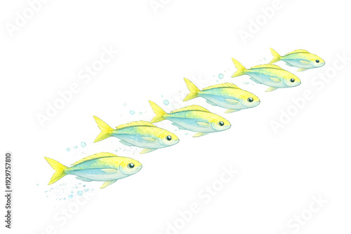 Colorful School of Fish Watercolor Illustration 