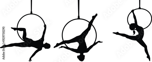 Black silhouettes of female aerialists performing graceful acrobatic poses on lyra hoops isolated on white background for circus and fitness.