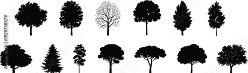 Black silhouettes of various diverse trees including deciduous, evergreen, and bare winter branches isolated on white background for nature graphics.