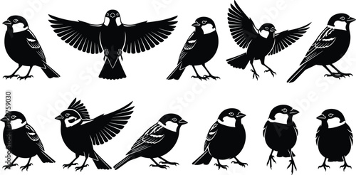 Black silhouettes of various sparrows and songbirds in different poses including flying and perched isolated on white background.
