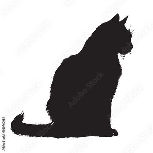 Elegant sitting cat with arched back sleek outline.