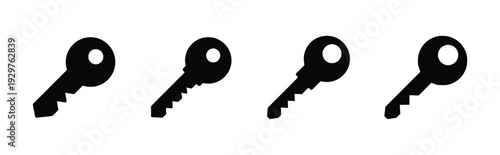 Key icon set different styles simple flat design and outline graphic vector
