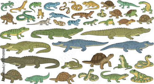 Reptile Collection with Crocodiles Turtles Snakes and Lizards Detailed Wildlife Vector Illustration Set