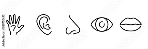 The five senses icons including hand, ear, nose, eye, and lips for perception